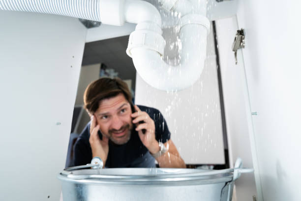Best Plumbing Repair Near Me  in Circle Pines, MN