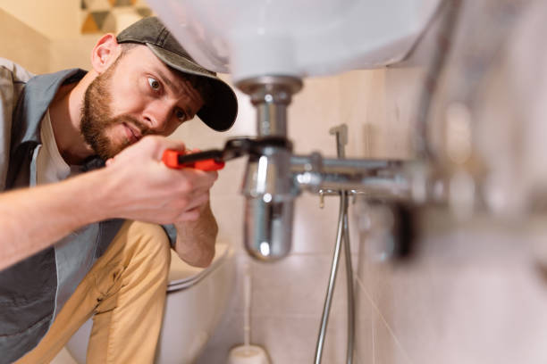 Best Clogged Drain Plumber  in Circle Pines, MN