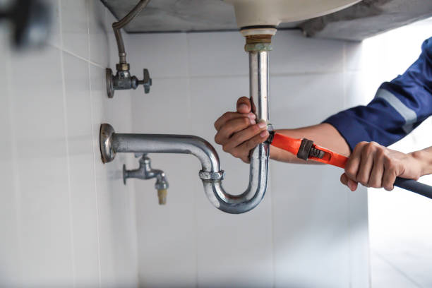 Best Local Plumber Services  in Circle Pines, MN