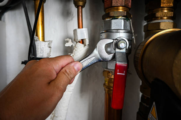 Best Emergency Plumbing Repair  in Circle Pines, MN